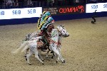 Quadrille - 00293